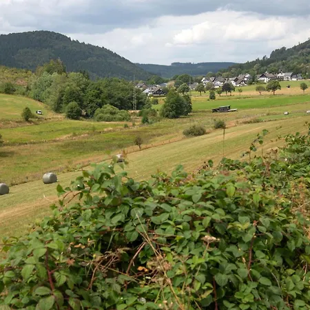 Hildfeld Ferienhaus Winterberg